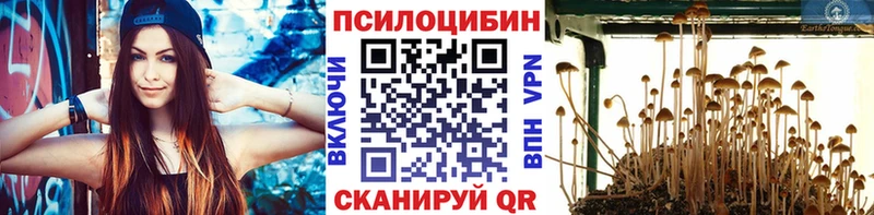 Галлюциногенные грибы Magic Shrooms Чухлома